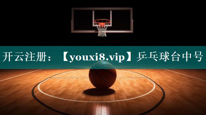 乒乓球台中号