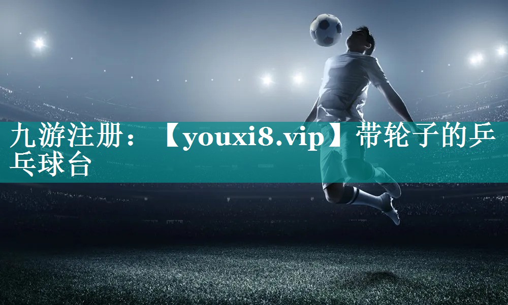 带轮子的乒乓球台 带轮子的乒乓球台