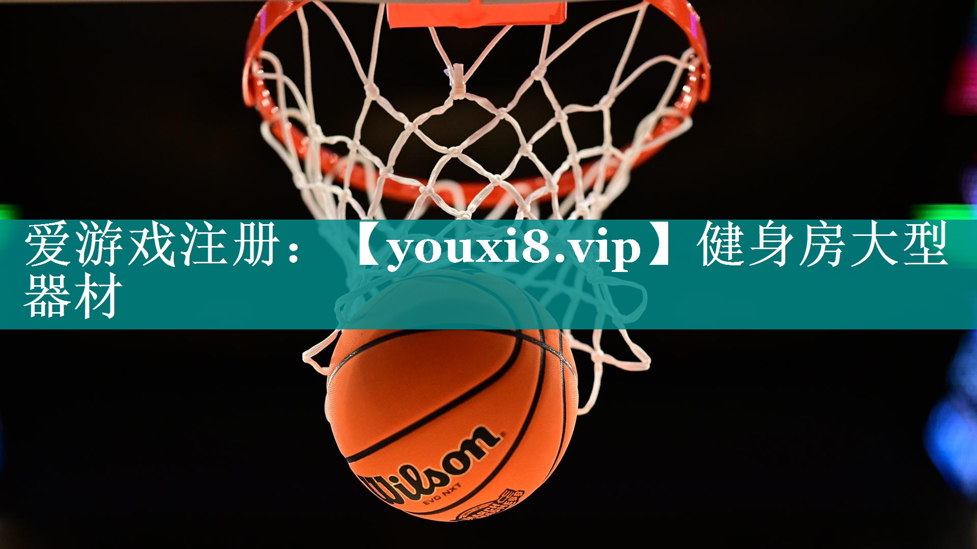 健身房大型器材 健身房大型器材