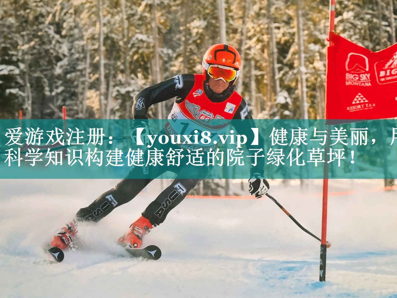 健康与美丽,用科学知识构建健康舒适的院子绿化草坪! 健康与美丽,用科学知识构建健康舒适的院子绿化草坪!