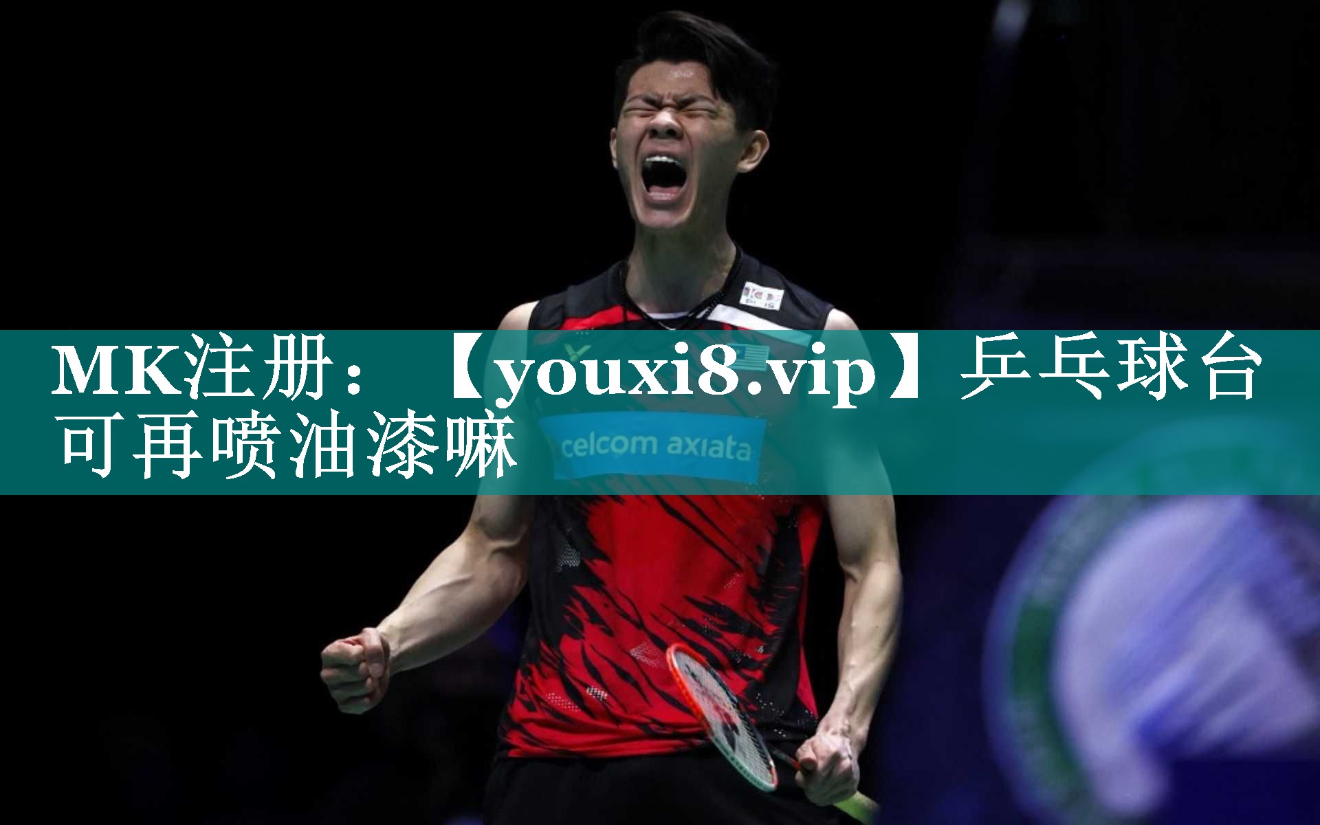乒乓球台可再喷油漆嘛 乒乓球台可再喷油漆嘛